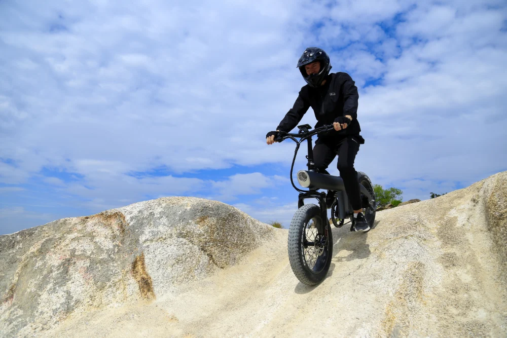 Leistungsmerkmale des faltbaren elektrischen Offroad-Mountainbikes